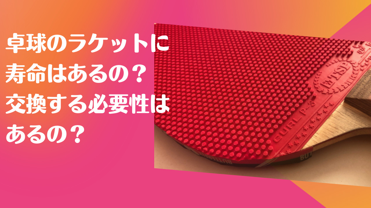 卓球のラケットに寿命はあるの？買い替える必要性はあるの？ | 異質な